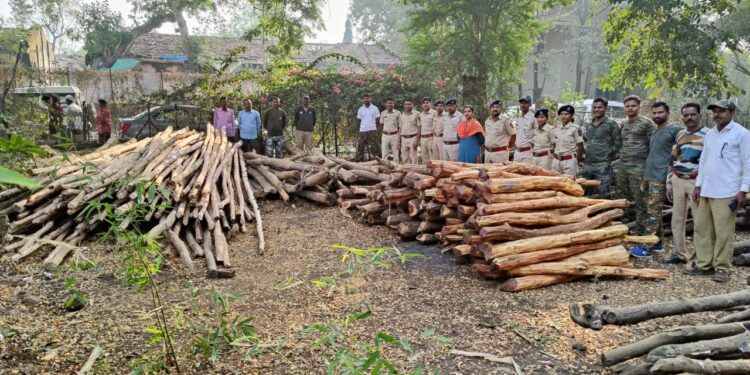 नर्मदा किनार्यावरून सव्वा लाखाचे अवैध लाकुड जप्त
