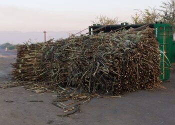 ऊसाने भरलेली ट्रॅक्टर ट्रॉली पलटी झाल्याने वाहतूक ठप्प