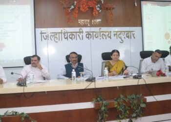 सर्व यंत्रणांनी कायद्याची प्रभावी अंमलबजावणी करावी : चित्रा कुलकर्णी