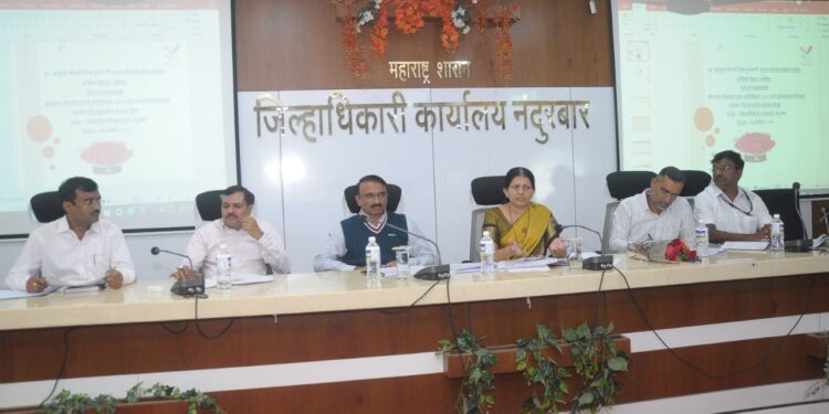 सर्व यंत्रणांनी कायद्याची प्रभावी अंमलबजावणी करावी : चित्रा कुलकर्णी