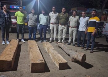 आमलाण येथे दोन लाखांचे अवैध लाकूड जप्त