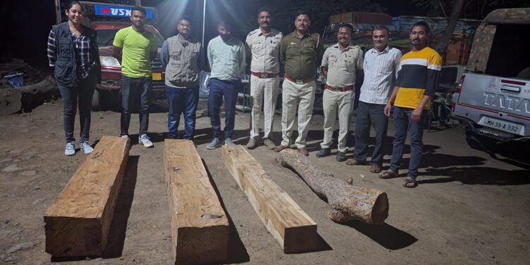 आमलाण येथे दोन लाखांचे अवैध लाकूड जप्त