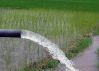शेतकऱ्यांनी रब्बी हंगामासाठी 31 डिसेंबर पर्यंत पाणी अर्ज सादर करण्याचे आवाहन