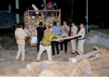 नंदुरबार पोलीसांचा माणुसकीचा धर्म, अंत्यसंस्कारासाठी चार टन दिली लाकडे