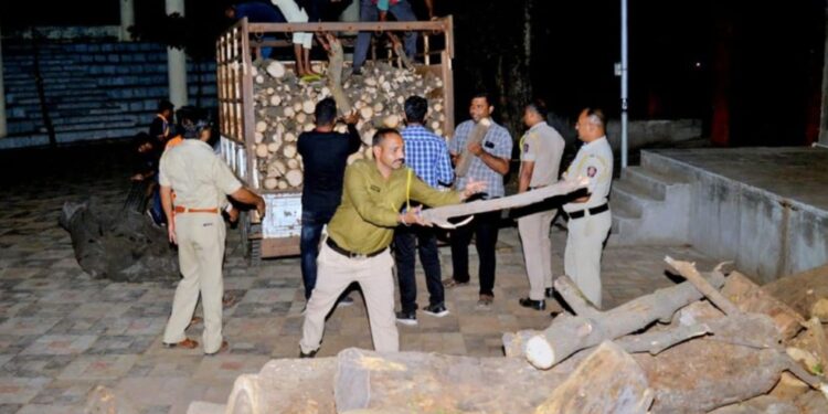 नंदुरबार पोलीसांचा माणुसकीचा धर्म, अंत्यसंस्कारासाठी चार टन दिली लाकडे