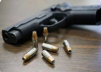 जिल्ह्यात शस्त्रबंदी व जमावबंदी आदेश जारी