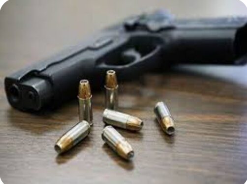 जिल्ह्यात शस्त्रबंदी व जमावबंदी आदेश जारी