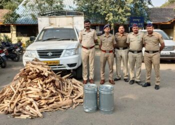 पुष्पा झाला गजाआड : मध्य प्रदेश राज्यातून चंदनाचे तेल व लाकुड सह २९ लाखाचा मुद्देमाल हस्तगत, तिघांना अटक,जिल्हा पोलीस दलाने धडक कारवाई