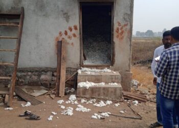 वैंदाणे शिवारातून कापूस चोरी 