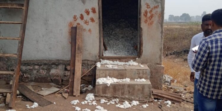 वैंदाणे शिवारातून कापूस चोरी 