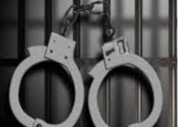 मोटार सायकल चोरी करणारा सराईत स्थानिक गुन्हे शाखेच्या ताब्यात, ४ दुचाकी जप्त