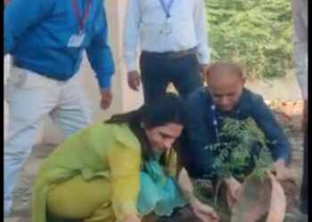 प्रत्येकाने वृक्षारोपण कार्यात सहभागी व्हावे : जिल्हाधिकारी श्रीमती खत्री