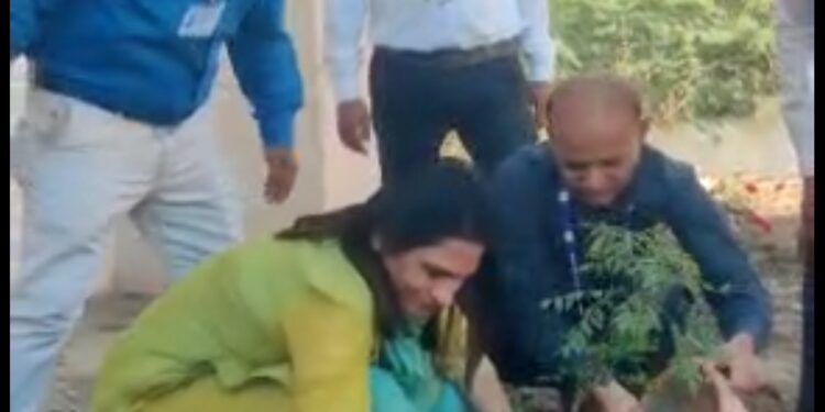 प्रत्येकाने वृक्षारोपण कार्यात सहभागी व्हावे : जिल्हाधिकारी श्रीमती खत्री