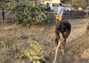 नंदूरबार येथे वीर शिरोमणी महाराणा प्रतापसिंग यांच्या पुण्यतिथीच्या पूर्वसंध्येला युवकांनी केली स्मारक परिसराची स्वच्छता