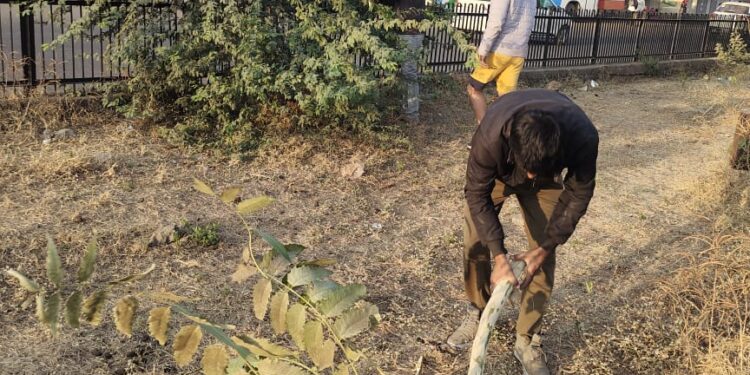 नंदूरबार येथे वीर शिरोमणी महाराणा प्रतापसिंग यांच्या पुण्यतिथीच्या पूर्वसंध्येला युवकांनी केली स्मारक परिसराची स्वच्छता