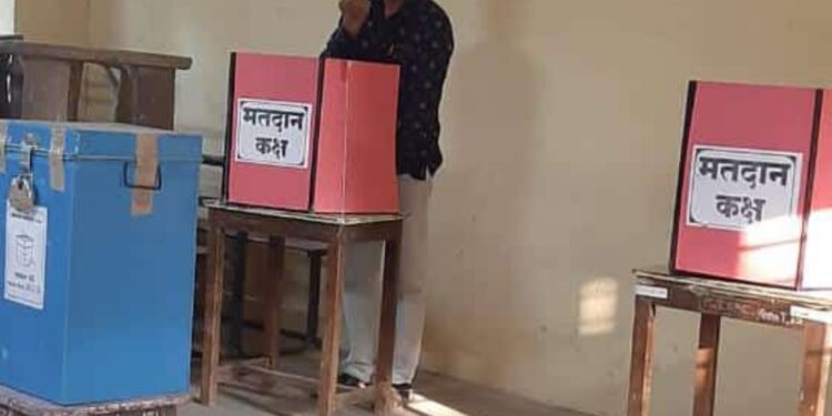 सिनेटसाठी जिल्ह्यात सरासरी ५१ टक्के मतदान