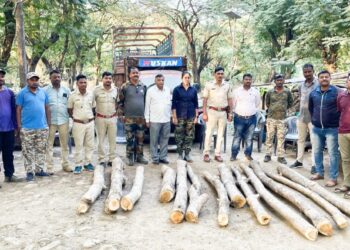 चाळीस हजार रुपये किमतीचे अवैध सागवानी लाकूड जप्त