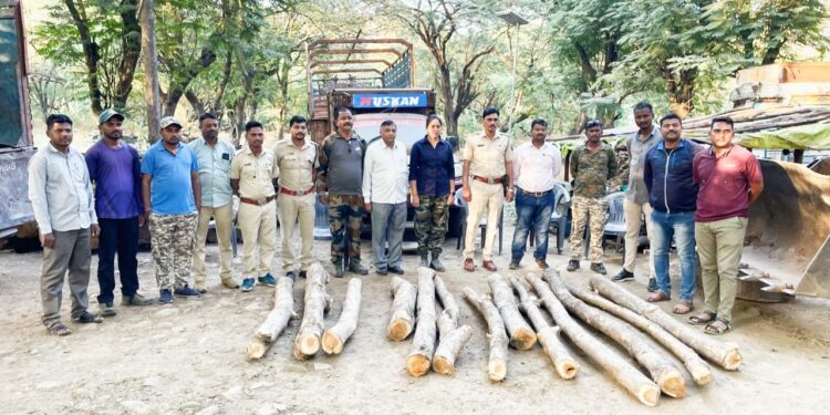 चाळीस हजार रुपये किमतीचे अवैध सागवानी लाकूड जप्त