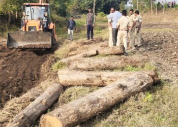 नाल्यात पुरून ठेवलेले अडीच लाखाचे अवैध सागवानी लाकूड जप्त