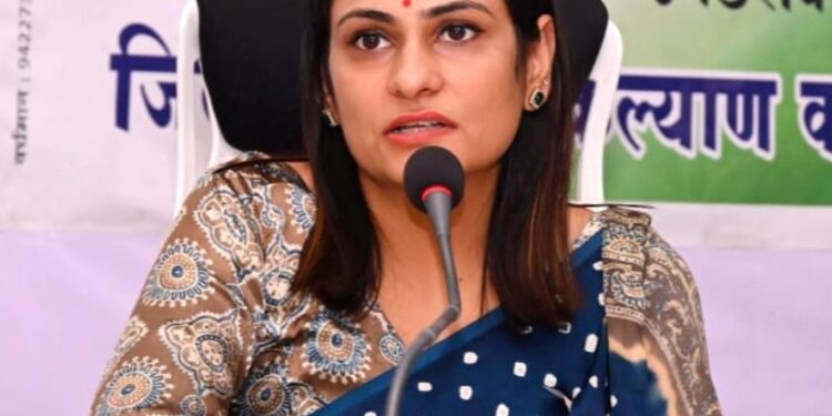 नायलॉन मांजाची विक्री व वापरास प्रतिबंध : जिल्हाधिकारी मनीषा खत्री यांचे निर्देश