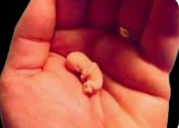 नदीच्या पात्रात आढळले एक दिवसाचे स्त्री जातीचे नवजात अर्भक, अधिकाऱ्यांनी केले आवाहन