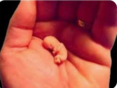 नदीच्या पात्रात आढळले एक दिवसाचे स्त्री जातीचे नवजात अर्भक, अधिकाऱ्यांनी केले आवाहन