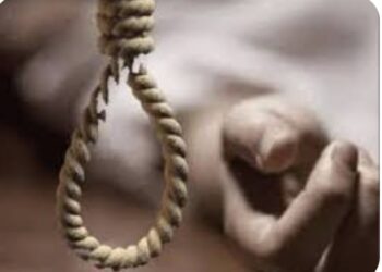 तुळाजा रस्त्यालगत झाडाला गळफास घेऊन अज्ञाताची आत्महत्या ?