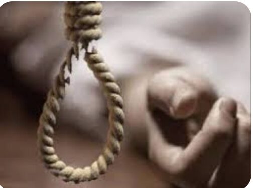 तुळाजा रस्त्यालगत झाडाला गळफास घेऊन अज्ञाताची आत्महत्या ?