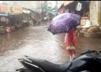 नवापूर व नंदूरबार तालुक्यात अवकाळी पावसाची हजेरी