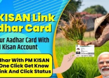 प्रधानमंत्री किसान सन्मान योजनेच्या लाभासाठी बँक खाते आधारशी जोडणे बंधनकारक