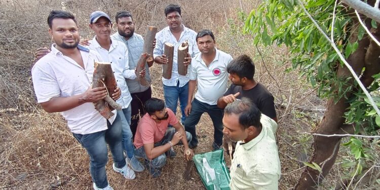 …..आणि चंदनचोर पुष्पाराज मुद्देमाल सोडून झाला फरार