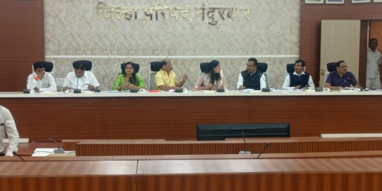 पात्रता नसलेल्या अधिकार्‍यांना नियुक्त्या देण्यामागे गौडबंगाल काय ? जि.प.सदस्य भरत गावीत यांचा संतप्त सवाल