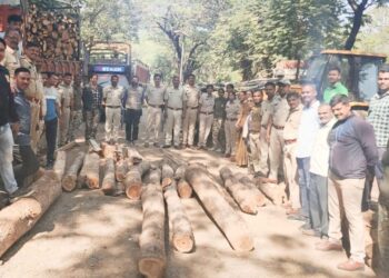 दुधवे येथे ५० हजाराचे अवैध सागवानी लाकूड जप्त