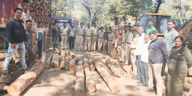 दुधवे येथे ५० हजाराचे अवैध सागवानी लाकूड जप्त