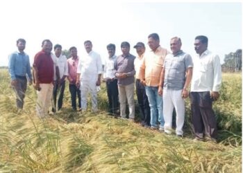 शेतकऱ्यांच्या  बांधावर जाऊन आ.राजेश पाडवी यांनी नुकसानग्रस्त शेतकऱ्यांना दिला आधार