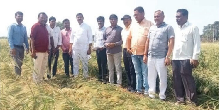 शेतकऱ्यांच्या  बांधावर जाऊन आ.राजेश पाडवी यांनी नुकसानग्रस्त शेतकऱ्यांना दिला आधार