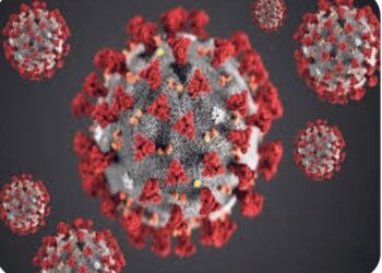 सावधान : नंदूरबार जिल्ह्यात आढळले पाच कोरोना रुग्ण