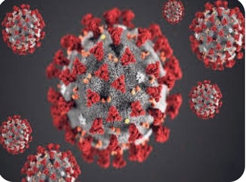 सावधान : नंदूरबार जिल्ह्यात आढळले पाच कोरोना रुग्ण