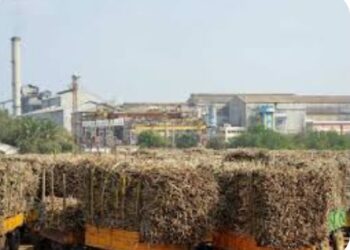 सातपुडा साखर कारखान्याने शेतकऱ्याचे नुकसान टाळण्यासाठी नोंद बिगर नोंद ऊस गळीताबाबत  केले असे आवाहन