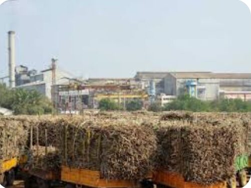 सातपुडा साखर कारखान्याने शेतकऱ्याचे नुकसान टाळण्यासाठी नोंद बिगर नोंद ऊस गळीताबाबत केले असे आवाहन