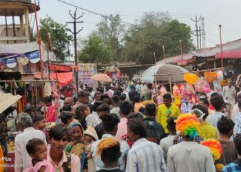 बोरद येथील भोंगऱ्या बाजारात लाखोंची उलाढाल