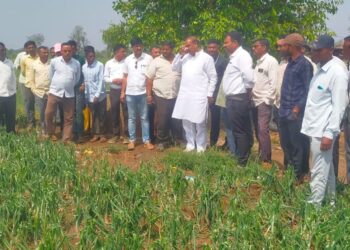 अवकाळी पावसाने फटका बसलेल्या शेतकऱ्यांच्या शेताचे पंचनामे करा,पालकमंत्री डॉ. विजयकुमार गावित यांच्याकडून नुकसानग्रस्त भागाची पाहणी