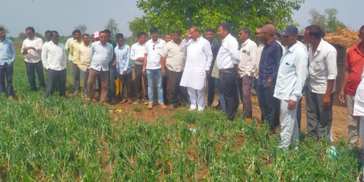 अवकाळी पावसाने फटका बसलेल्या शेतकऱ्यांच्या शेताचे पंचनामे करा,पालकमंत्री डॉ. विजयकुमार गावित यांच्याकडून नुकसानग्रस्त भागाची पाहणी