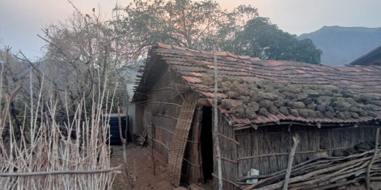 प्रेरणादायी: वनमजुराचा मुलगा डॉ. अर्जुन पावरा बनणार उपजिल्हाधिकारी, एम.पी.एस.सी परीक्षेत राज्यात प्रथम