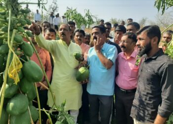 पालकमंत्री डॉ.विजयकुमार गावित यांनी केली गारपीटग्रस्त भागाची पाहणी, तातडीने पंचनामे करण्याचे दिले प्रशासनाला निर्देश