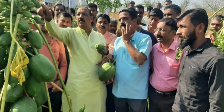 पालकमंत्री डॉ.विजयकुमार गावित यांनी केली गारपीटग्रस्त भागाची पाहणी, तातडीने पंचनामे करण्याचे दिले प्रशासनाला निर्देश