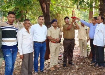 जागतिक चिमणी दिवस साजरा, सहयोग सोशल ग्रुप तर्फे बर्ड फिडर वाटप व जनजागृती