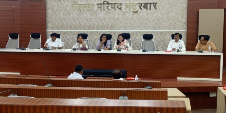 जि.प.ची सभा : धडगांव पं. स.च्या कर्मचार्‍यांच्या निवासस्थानी नागरीकांनी अतिक्रमण, अंगणवाड्यांना पोषण आहारासाठी गॅस सिलेंडर द्या : भरत गावीत