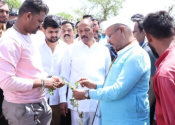 युद्धपातळीवर पंचनामे पूर्ण करून दोन दिवसात भरपाईची घोषणा करणार : कृषीमंत्री अब्दुल सत्तार