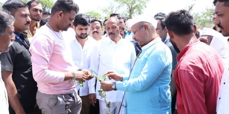 युद्धपातळीवर पंचनामे पूर्ण करून दोन दिवसात भरपाईची घोषणा करणार : कृषीमंत्री अब्दुल सत्तार